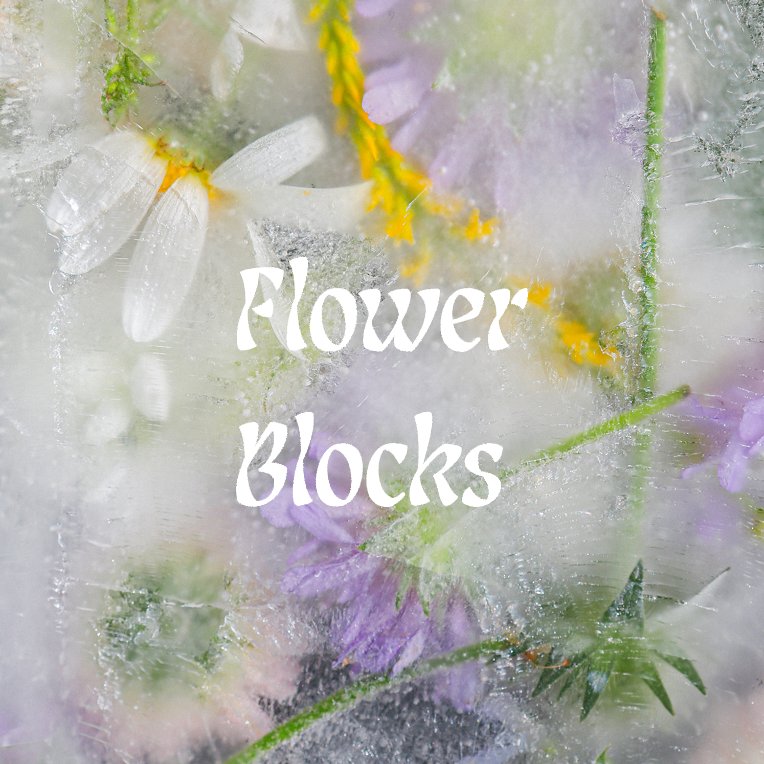 Flower Block Series