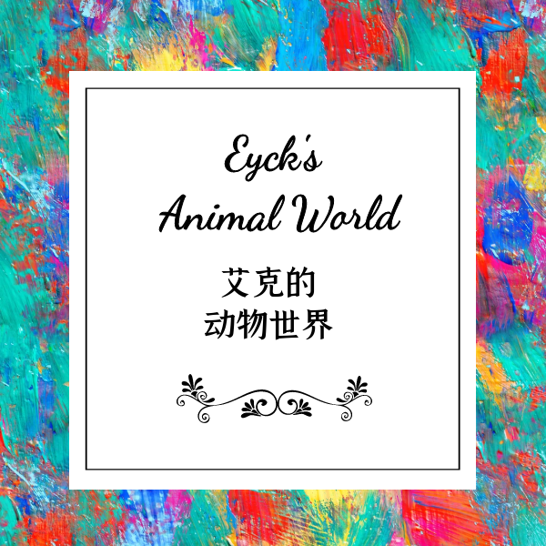 Eyck's Animal World （艾克的动物世界）