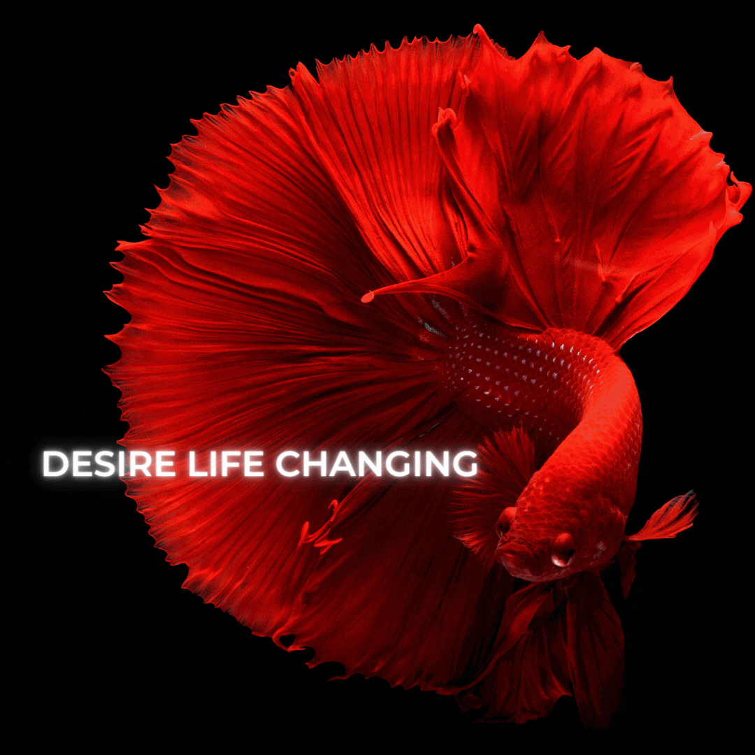 Desire Life Changing | Grow with Mixin
