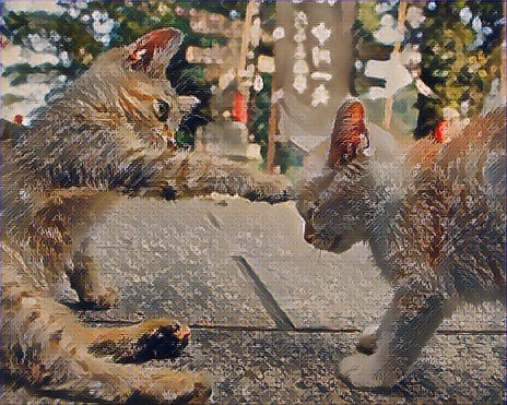 Neko-Punch@Japan