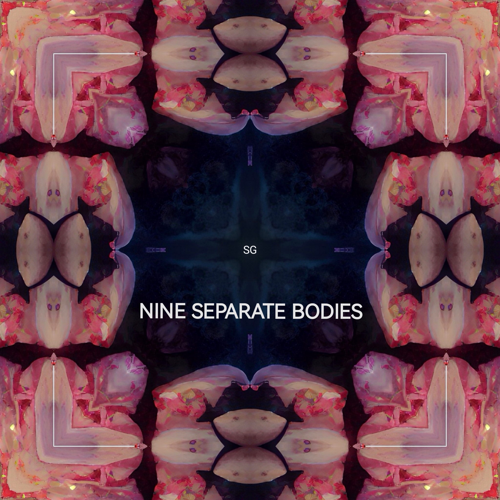 Nine Separate Bodies【9分身】